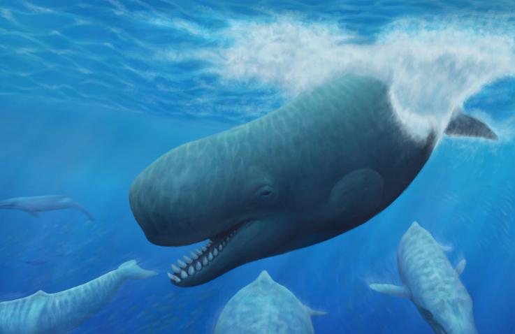 prehistoric whale leviathan