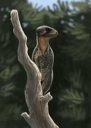 B682D822-7265-4B94-BD60-588F712EA227