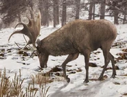 Ea7b00c4bc7a2af2e175c6529f67e6f4.jpg (84 KB) Ea7b00c4bc7a2af2e175c6529f67e6f4