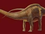 Seismosaurus