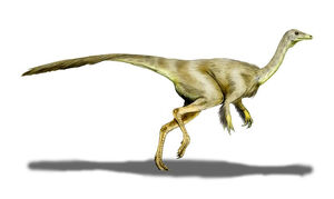 Struthiomimus, illustration. The fastest dinosaur runners were the  long-tailed ostrich-like dinosaurs such as Struthiomimus Stock Photo - Alamy