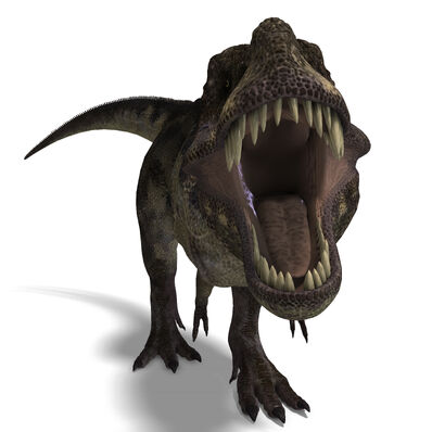 Bigstock-Tyrannosaurus-Rex-5475056.jpg