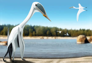 Lacusovagus