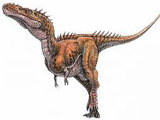Alioramus