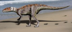 Dubreuillosaurus NT.jpg