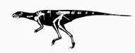 Oryctodromeus skeletal reconstruction 