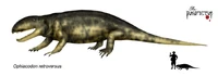 Ophiacodon retroversus.jpg (39 KB) Ophiacodon retroversus.