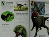 Zalambdalestes