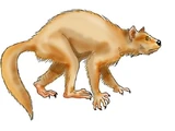 Altiatlasius