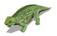 Anthodon Serrarius