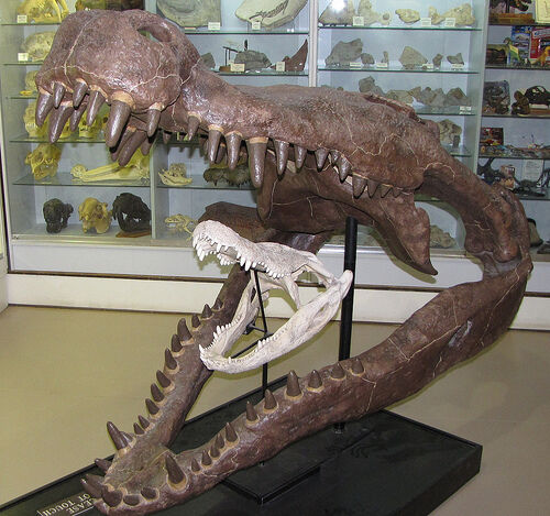 When Deinosuchus Ruled the Earth