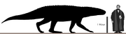 Barinasuchus Size Comparison