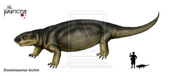 Ennatosaurus tecton