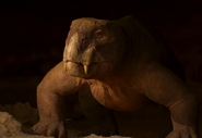 Lystrosaurus in a burrow