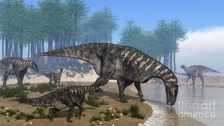 A herd of Iguanodon drinking