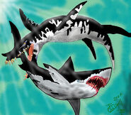 Liopleurodon vs Megalodon by HodariNundu