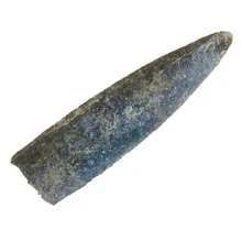 F-belemnite.am