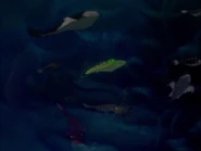 Fantasia-disneyscreencaps.com-5607.jpg (140 KB) Phlebolepis