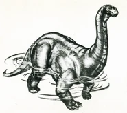 RoSp209.jpg (240 KB)