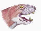 Ictidosuchus