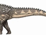 Ampelosaurus