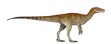 Life Restoration by UDL.