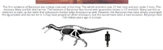 A paragraph explaining Baryonyx opportunistic and generalist dietary preferences as a Carnivore