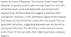 Another scientific paragraph explaining the generalistic and opportunistic carnivorous nature of Spinosaurids and Baryonychinae subfamily; by explaining the Stomach contents of The only known Baryonyx specimen; these contents include Iguanadon as well