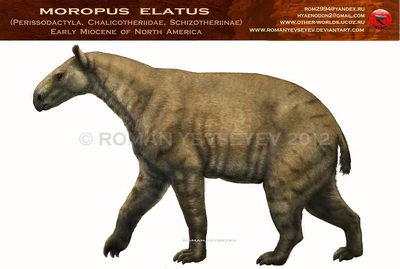 Moropus by romanyevseyev-d5iedk5