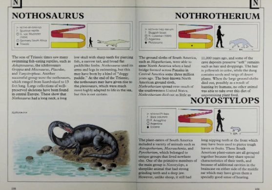 Notostylops Dinopedia Fandom