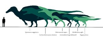 African Theropods S