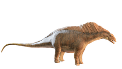 Deinotherium  3D Dinopedia