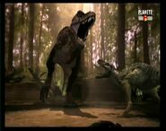 Tyrannosaurus defending its offspring from an invading Nanotyrannus