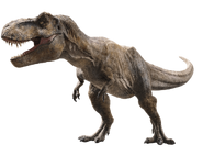 Jurassic world fallen kingdom tyrannosaurus v3 by sonichedgehog2-dcb00cn