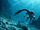 Nothosauria