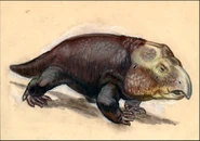 Hyperodapedodon-sketch.png (737 KB)