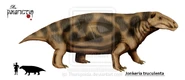 Jonkeria truculenta.