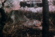 Unknown Island Dimetrodon