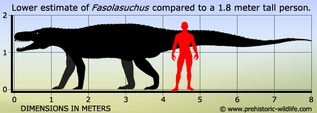Fasolasuchus size
