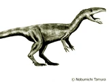 Laevisuchus