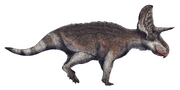 Life restoration of Turanoceratops tardabilis