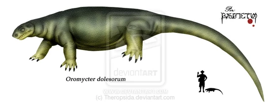 Oromycter dolesorum