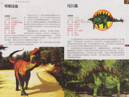 Chinese Tazoudasaurus and Tuojiangosaurus