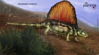 Dimetrodon Incisivus di Theropsida