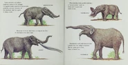 Prehistoric Animals 12.png (768 KB)