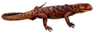 Acleistorhinus lizard
