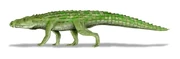 Life reconstruction of Riojasuchus