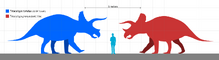 Triceratops horridus and prorsus size comparison