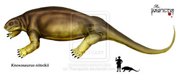 Knoxosaurus niteckii