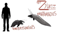 Unguisotenerids